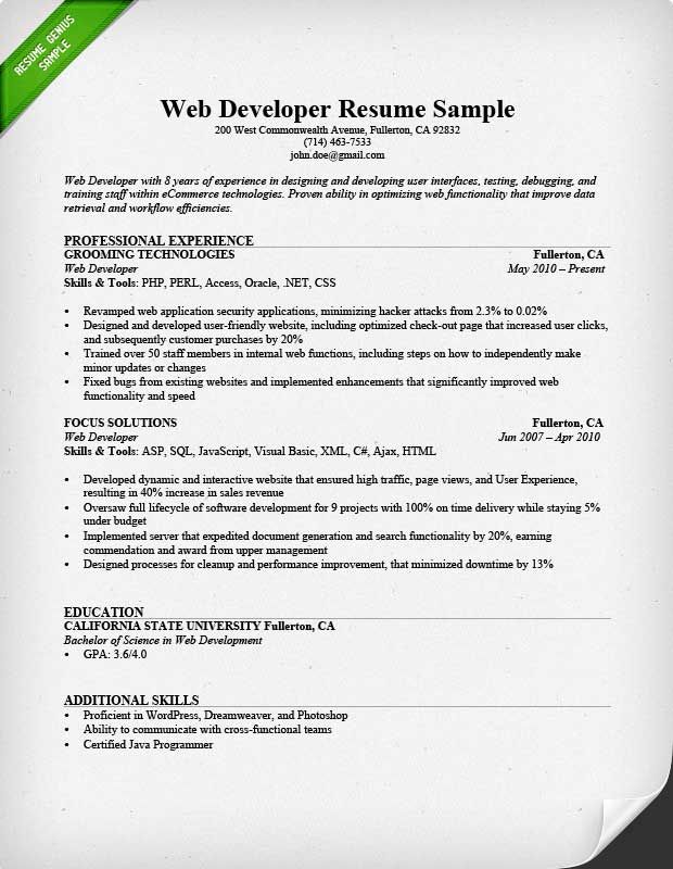 Vb.net Developer Resume Sample