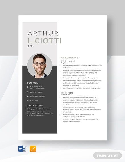 Ceo Resume Template Download