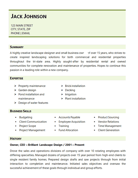 Ceo Resume Template Word Free