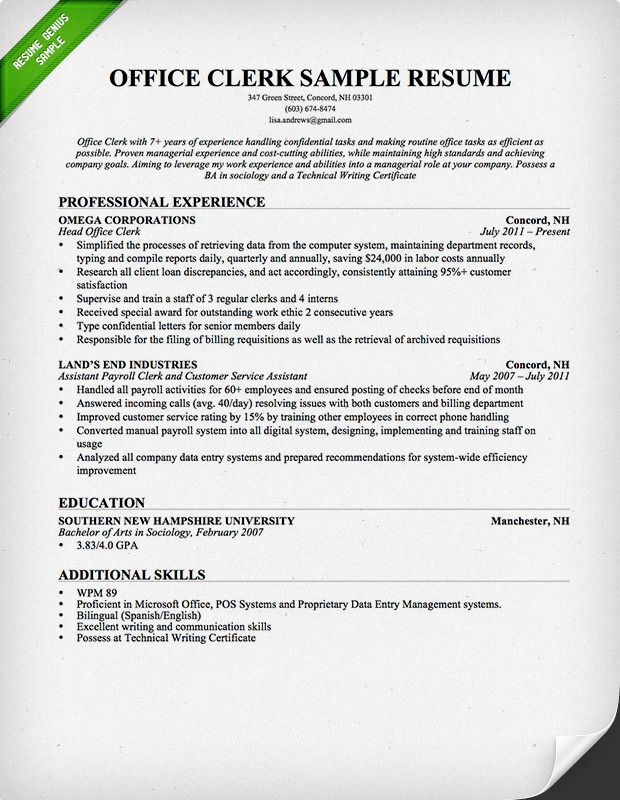 Excellent Resume Examples