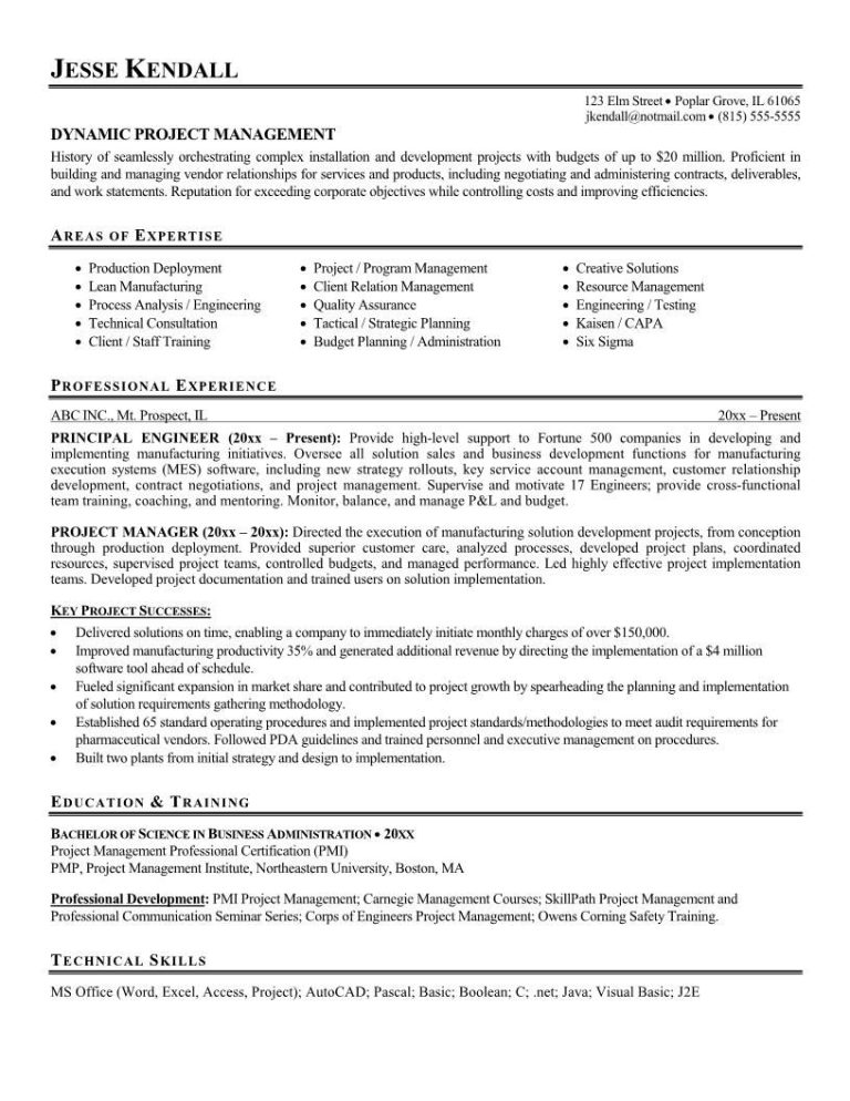 Project Manager Cv Example