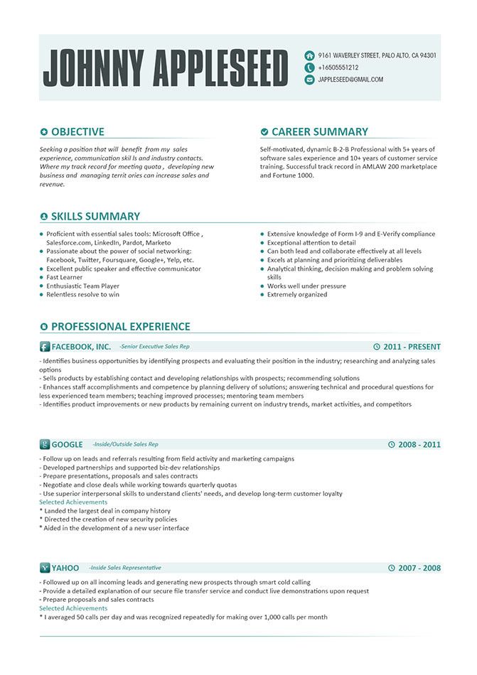 Modern Resume Examples