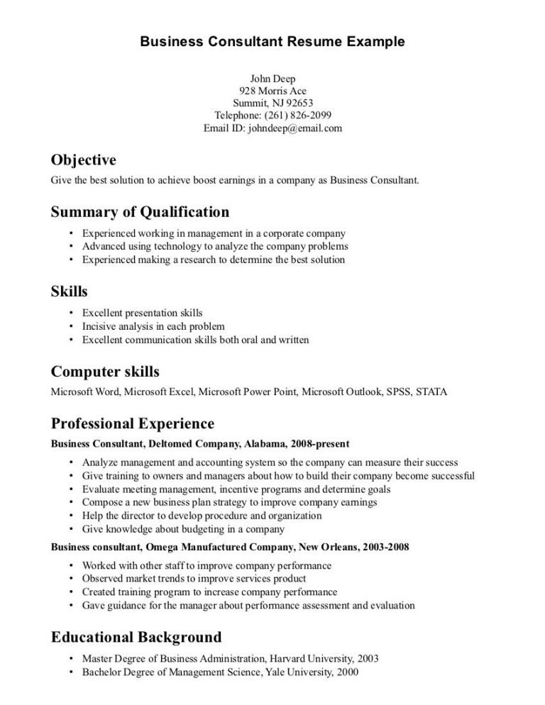 Business Resume Example