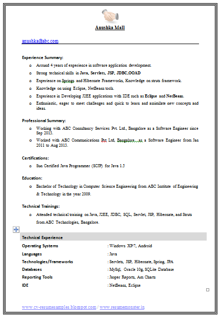 Example Of Excellent Cv