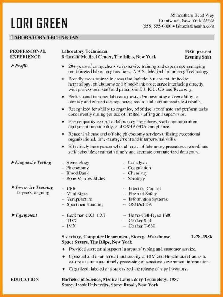 Marketing Cv Examples