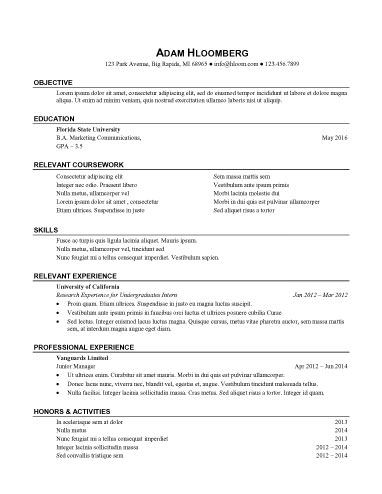 Internship Resume Template