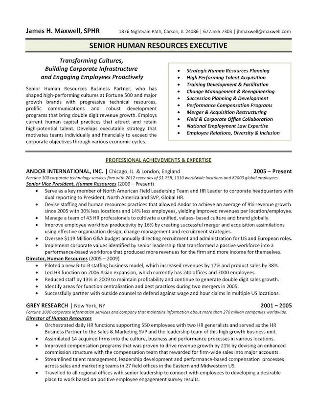 Executive Cv Template