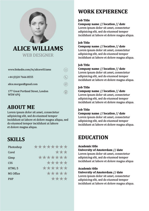 Professional Cv Template Doc