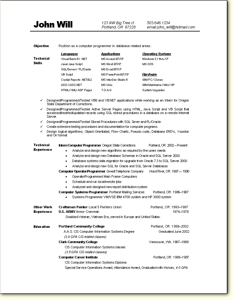 Programmer Cv Template